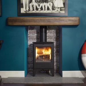 Esse 550 multifuel stove Glasgow