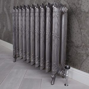 Carron dragonfly radiator