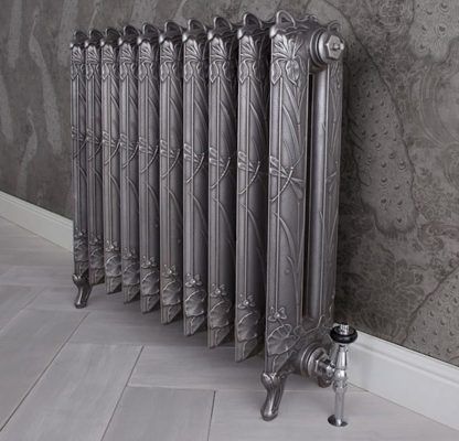 Carron dragonfly radiator